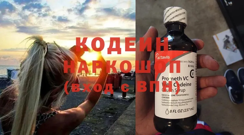 купить наркотики цена  kraken ТОР  Кодеиновый сироп Lean Purple Drank  Карачев 